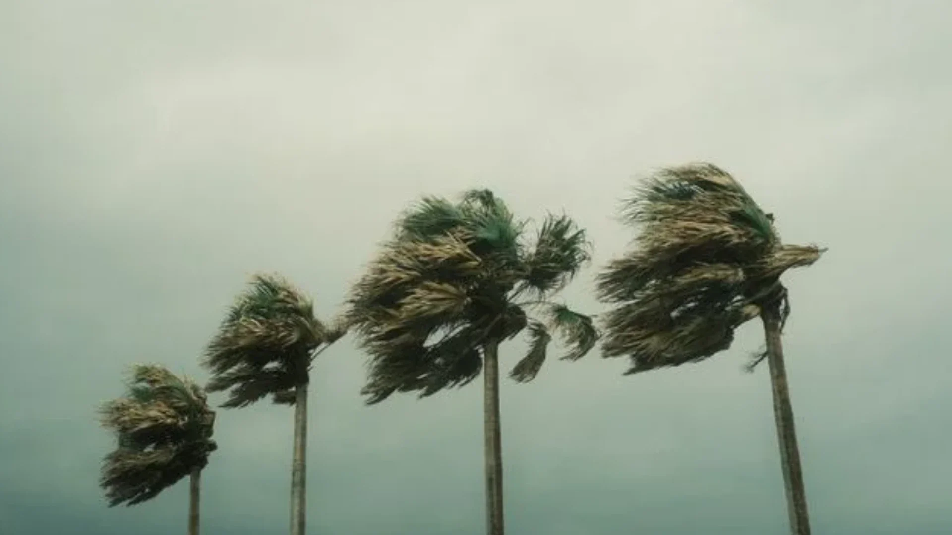 Master Investor Series 3 of 5 | Hurricane-Resistant Upgrades