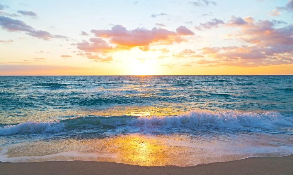 Beach Waves.webp